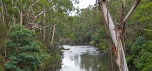 Warrandyte State Park is a popular one on the edge of Melbourne