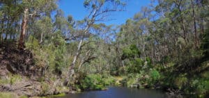 Lerderderg State Park is popular with nearby Melbourne residents