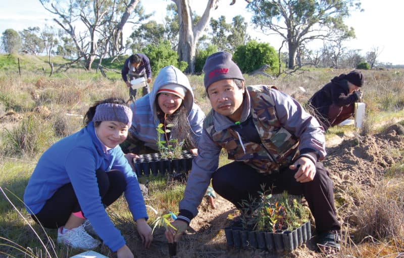 Volunteers planting trees on a VNPA project
