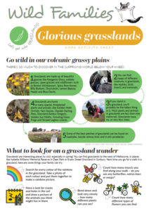 Front page of the Grassland Activity sheet