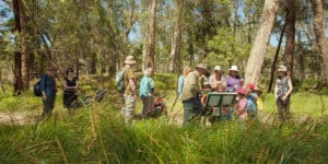 People walking in nature