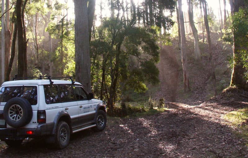 Victoria's western forests offer great chances to explore a diverse range of landscapes.