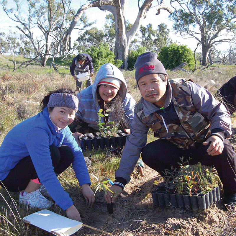 Friends of Bunyip volunteers planting trees