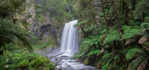 Hopetoun Falls is one of many in the Great Otway Ranges National Park.