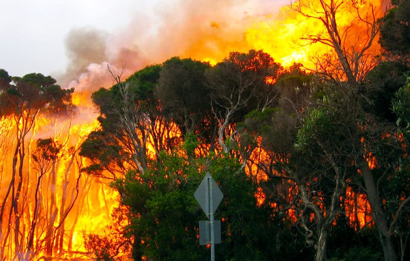 Wildfire at Wilsons Promontory