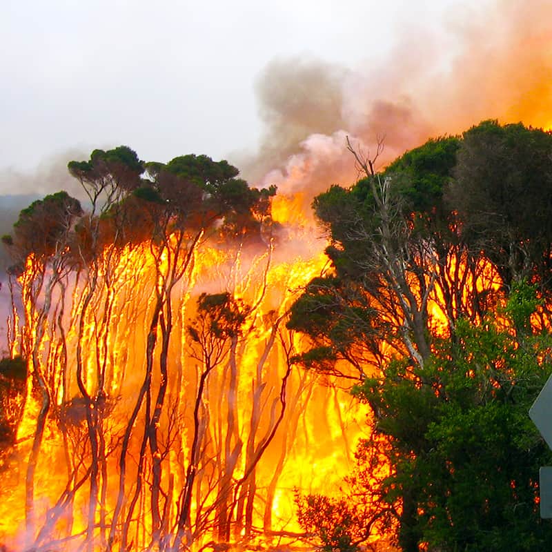 Wildfire at Wilsons Promontory