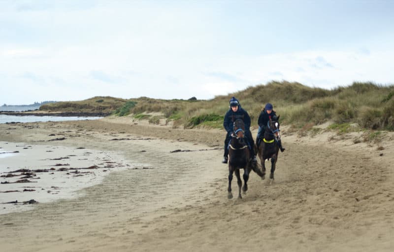The Andrews Government's environmental performance has been marred by allowing commercial horse training at Belfast Coastal Reserve.