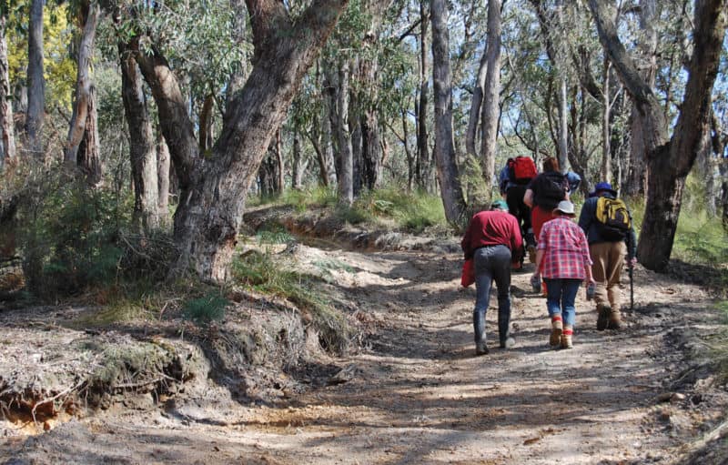 Jasper Hails leads members of the friends group and NatureWatch through the Bunyip State Park's dry woodland on the way to set up cameras.