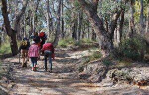 Jasper Hails leads members of the friends group and NatureWatch through the Bunyip State Park's dry woodland on the way to set up cameras.