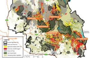 This map of proposed logging in the Central Highlands, home of the Leadbeater's Possum, shows planned logging of Ash forest in yellow and previously logged areas in red.