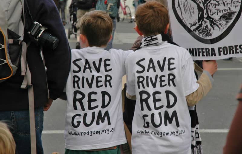 Save river redgums