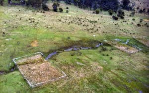 Horse trampled wetlands and intact vegetation in feral horse exclusion plots, Cowombat Flats, Alpine National Park