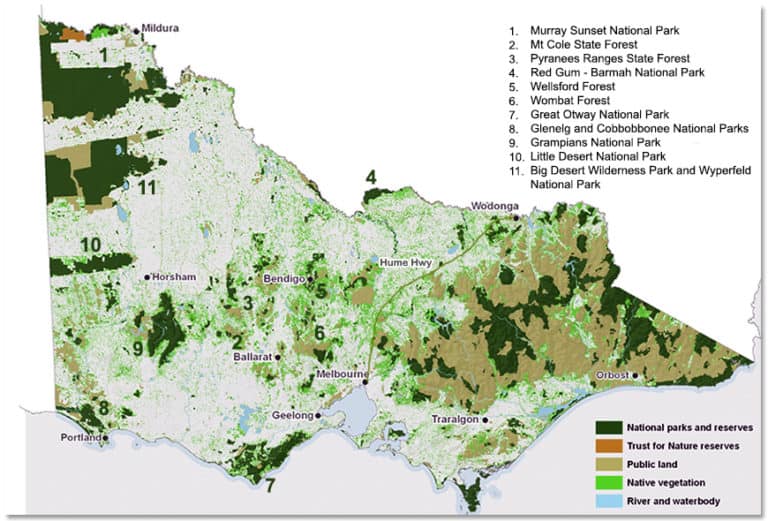 Western Forests And Woodlands Victorian National Parks