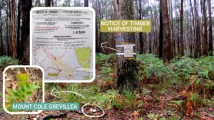 Logging Notice in Mt Cole Grevillea