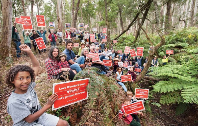 Wombat Forest @ Sandy Scheltema