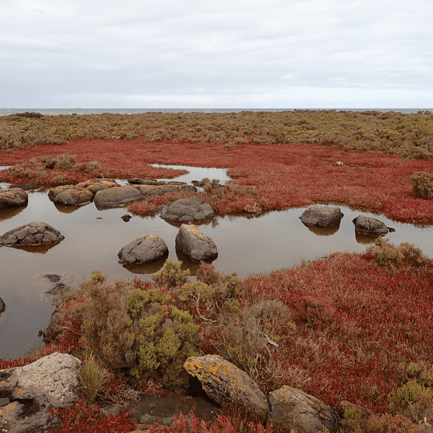 Explore Underwater Victoria - Victorian National Parks ...