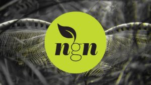 A lyrebird in full tail display with the NextGen Nature logo superimposed.