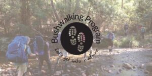 Bushwalking program logo superimposed over photo of people walking in the forest