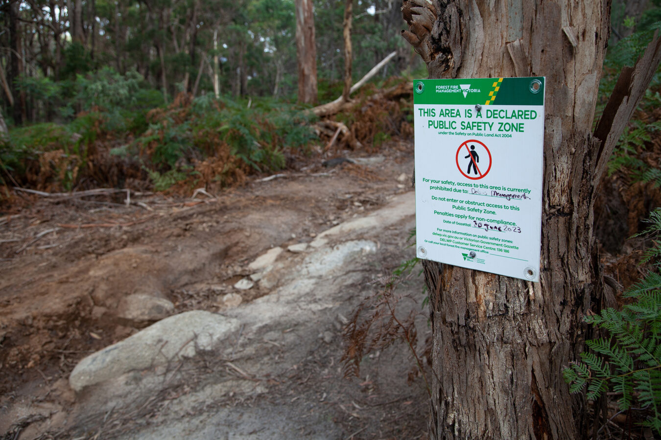 Salvage logging is forest destruction Victorian National Parks