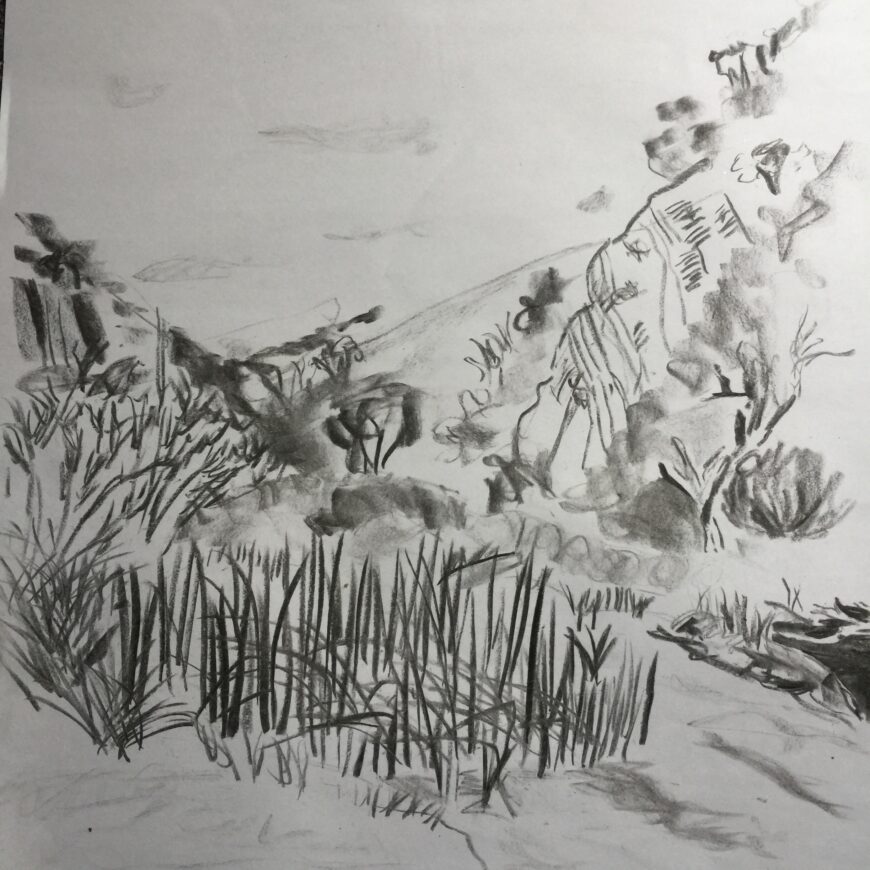 Drawing of grass and mountains