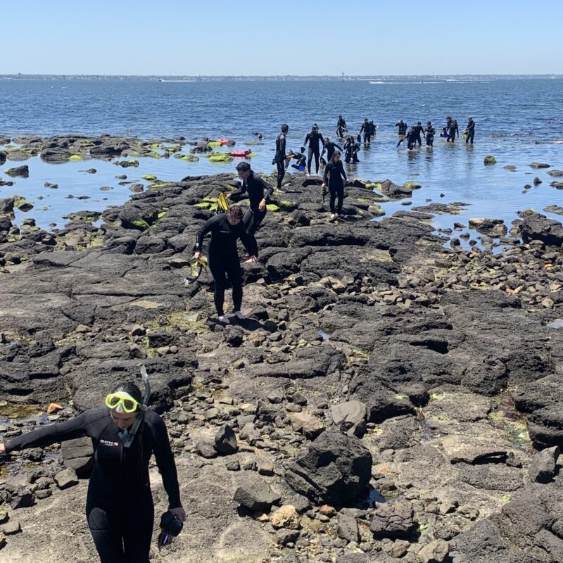 A group of people wearing snorkelling gear walking out of the water.